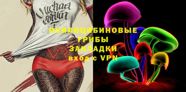 прущие грибы Белоозёрский