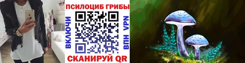 Галлюциногенные грибы Cubensis  Воскресенск 